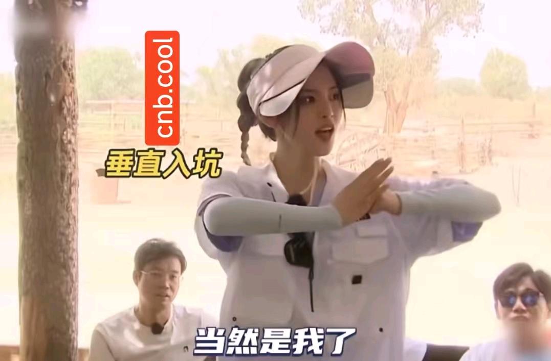 站点声明与用户须知